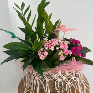 Aranjament cu plante Green Harmony